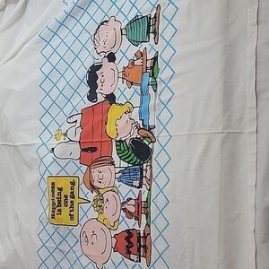 Vintage 1970s Peanuts Snoopy Gang Twin No Iron Muslin Made in the USA Flat Sheet